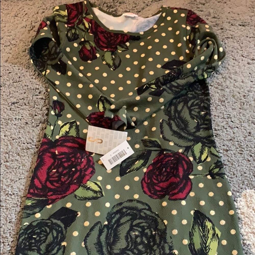 LuLaRoe elegant Debbie dress roses htf